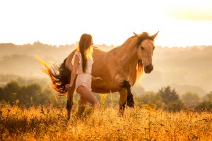 Stage avec votre cheval - Construire avec lui une relation de confiance et une base de communication efficace à pied et en liberté