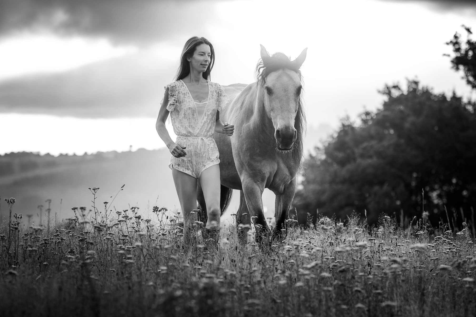 Osez travailler en liberté avec votre cheval et écouter ses messages - De Femme à Cheval, développement personnel auprès des chevaux, féminin sacré