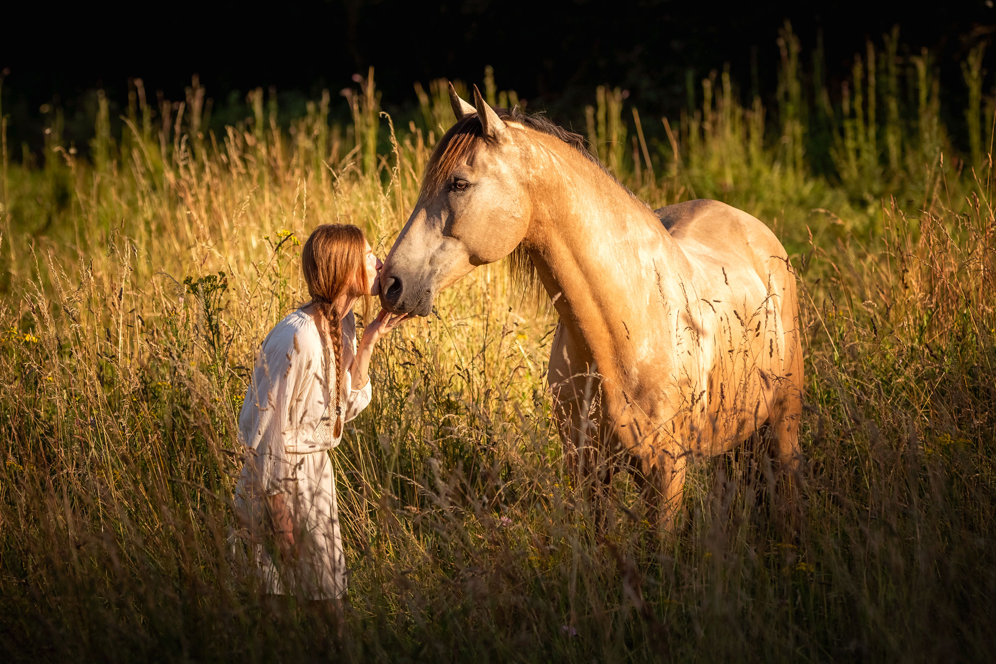 Faites de la relation dont vous rêvez avec votre cheval une réalité - De Femme à Cheval - Développement personnel auprès des chevaux en liberté