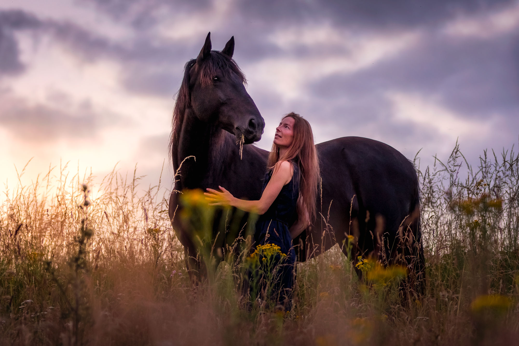Faites confiance à votre ressenti et écoutez votre cœur pour une belle relation, un beau lien au cheval - De Femme à Cheval, développement personnel et féminin sacré auprès des chevaux - Laure Souquet