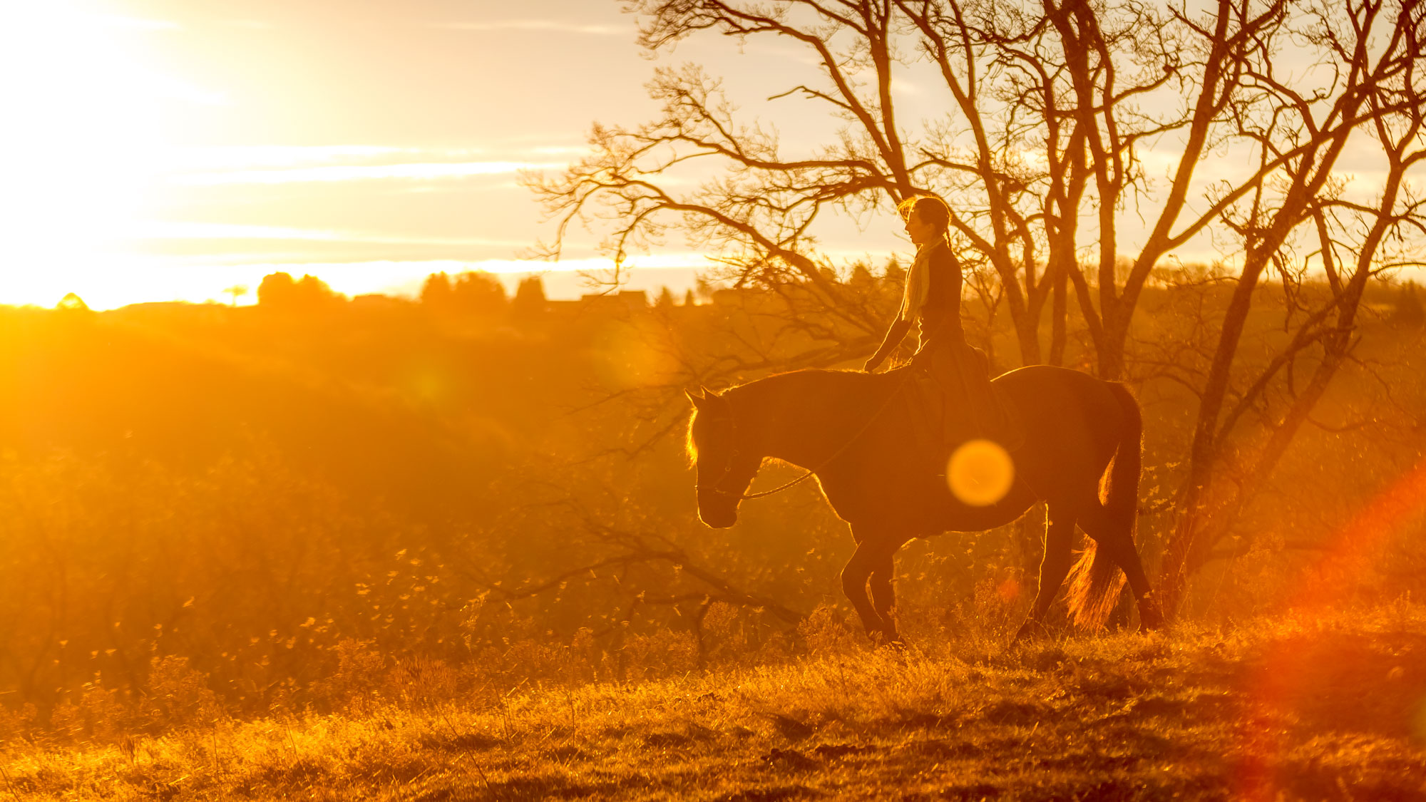 Monter sans mors, une équitation plus douce ?