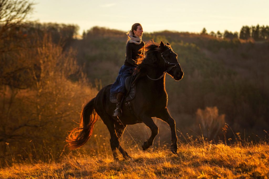 Débourrage dressage de votre cheval sans mors méthode douce et respectueuse - Laure Souquet