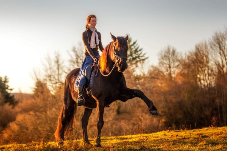 Équilibre et légèreté, avec ou sans mors - Laure Souquet - De Femme à Cheval - Formation Équestre en ligne
