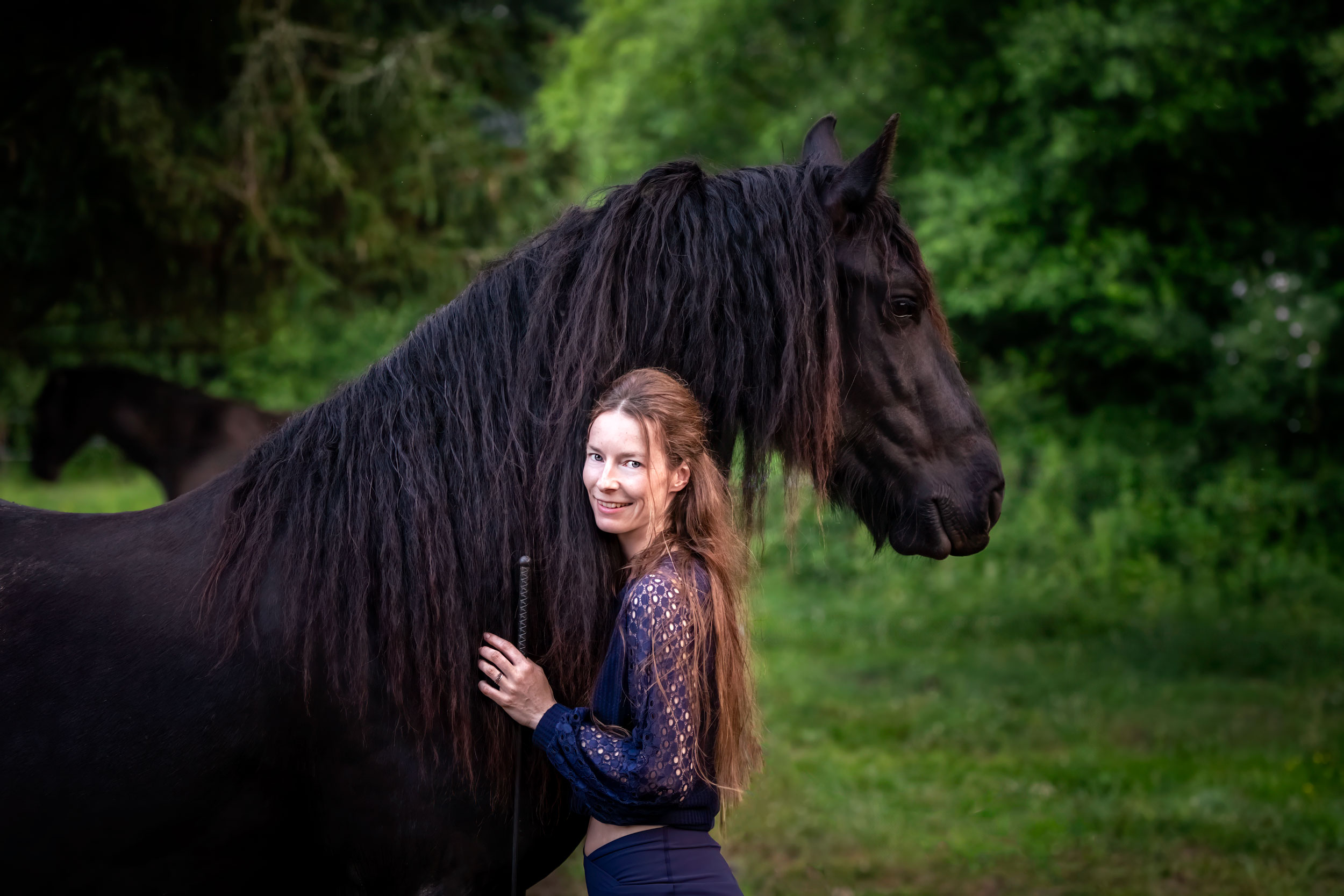 Communiquer avec un cheval en douceur, c'est plus efficace - Laure Souquet - Formation équestre en ligne De Femme à Cheval