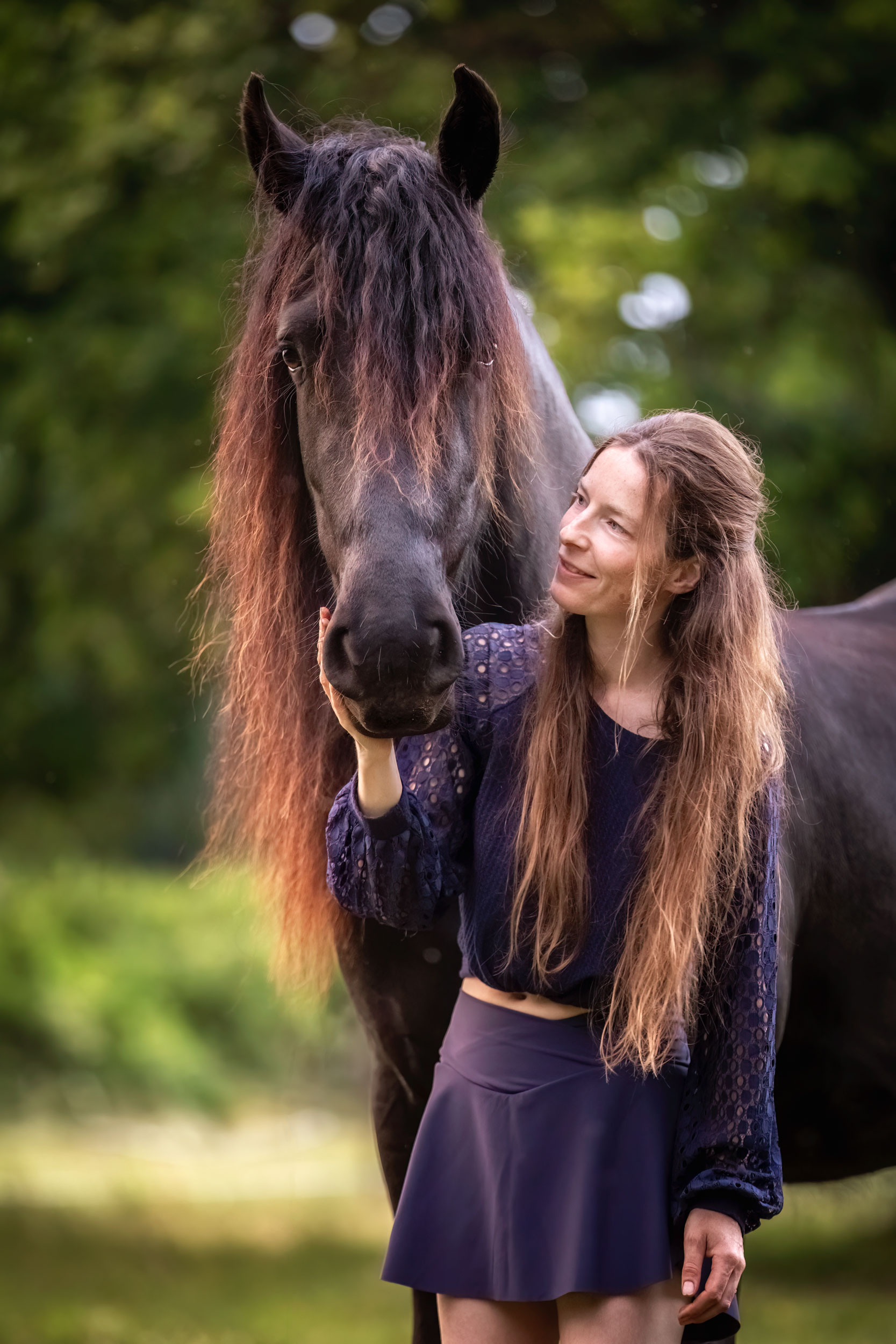 Motiver son cheval pour le travail à pied - Laure Souquet - Formations équestres De Femme à Cheval