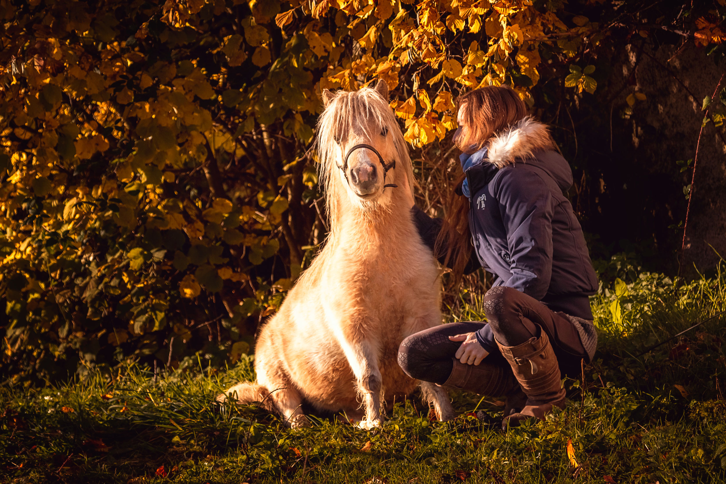 Comment avoir des objectifs avec son cheval mais pas d'attentes ? - Laure Souquet - Formations équestres De Femme à Cheval