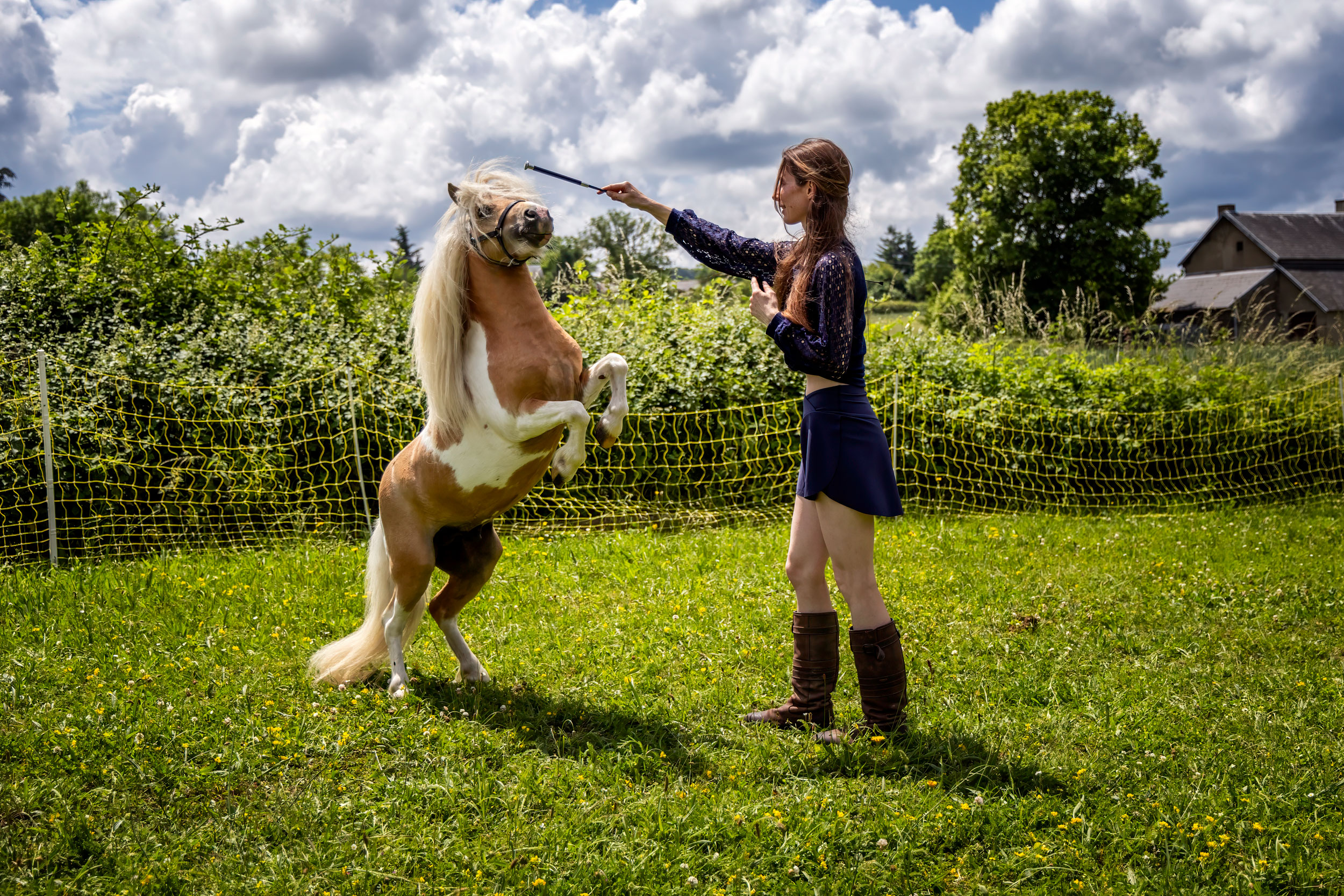 Trouver l'équilibre entre douceur et fermeté avec le cheval - Laure Souquet - Formations Équestres De Femme à Cheval