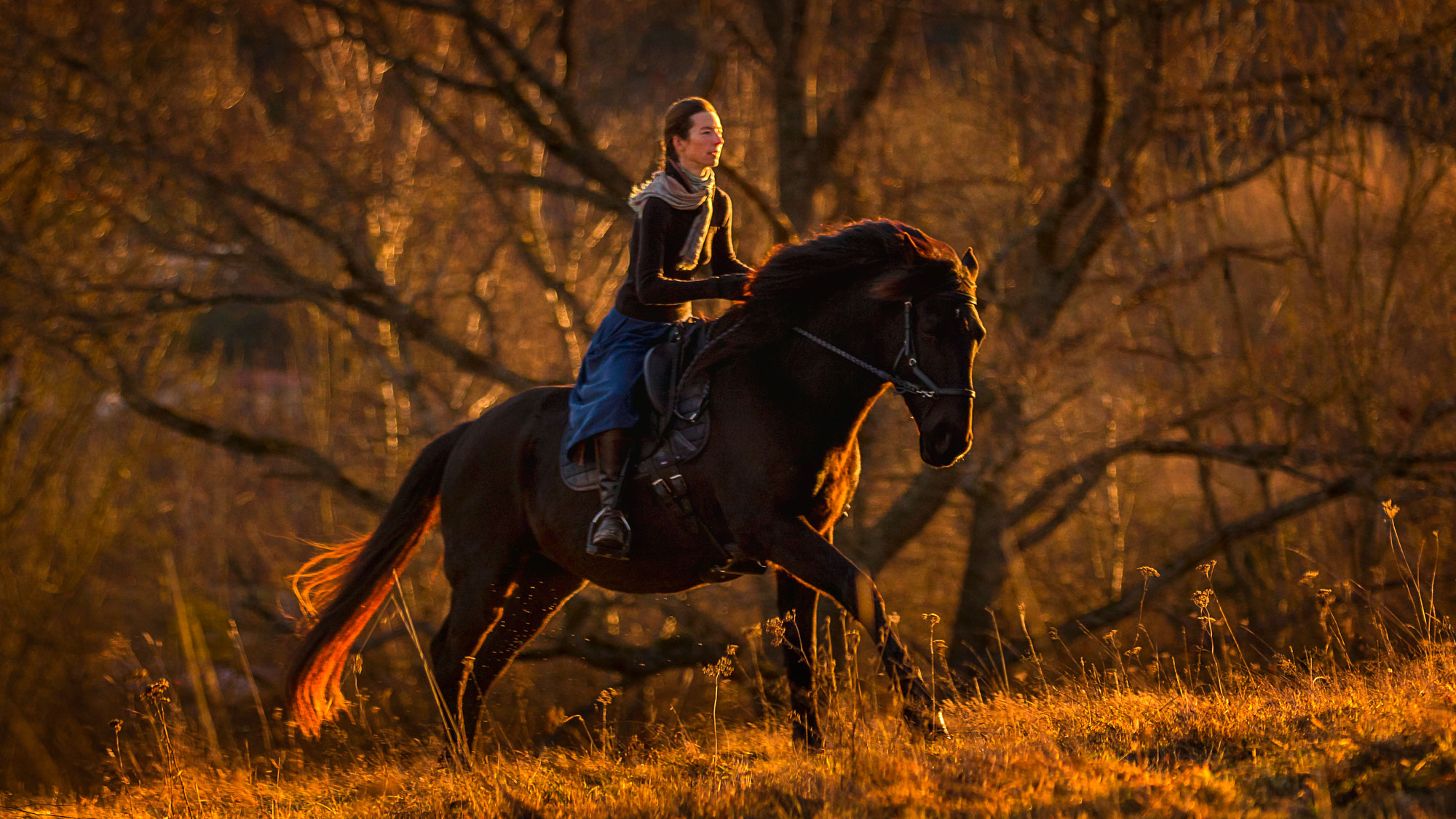 Mon cheval a peur en balade, que faire ? - Laure Souquet - Formations équestres De Femme à Cheval