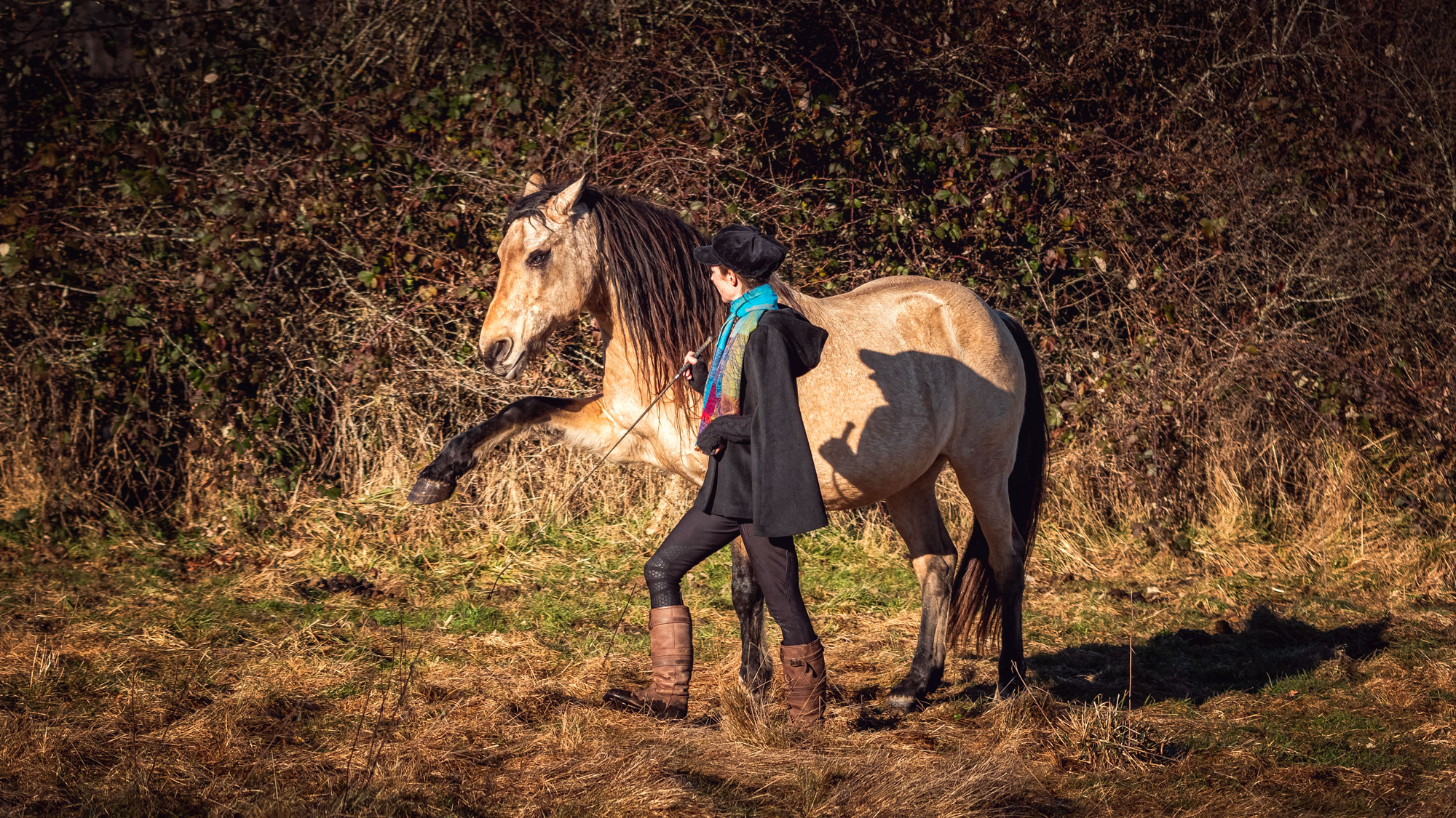 Peut-on et doit-on "travailler" avec son cheval au pré, dans son troupeau ? - Laure Souquet - Formations Équestres De Femme à Cheval