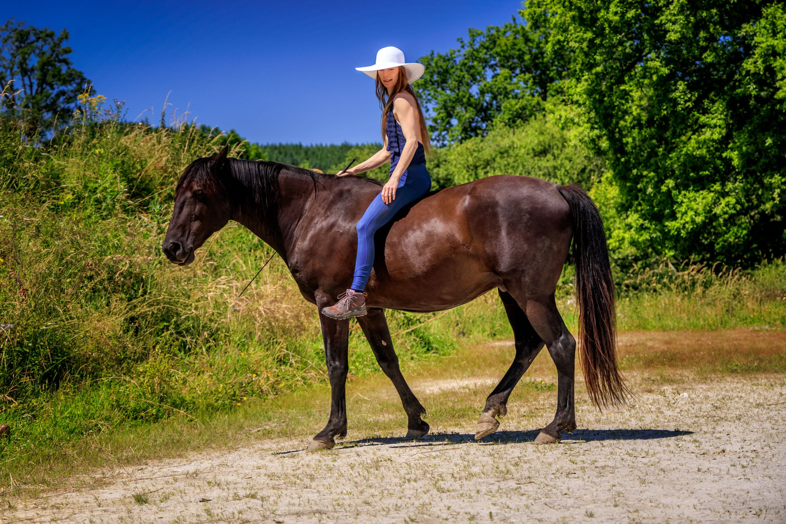 Les fondements d’une équitation éthique