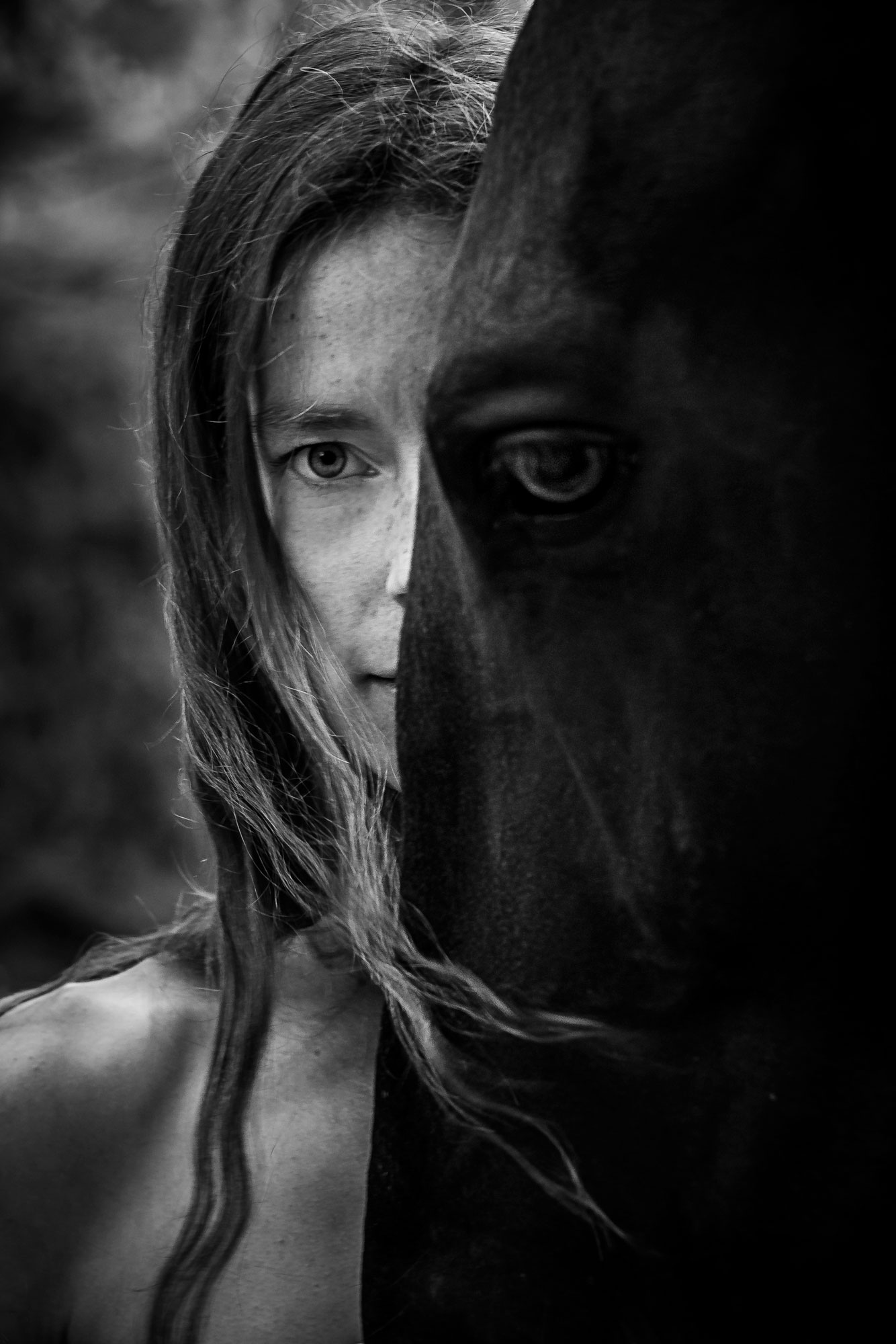 Les chevaux nous perçoivent-ils comme des prédateurs ?