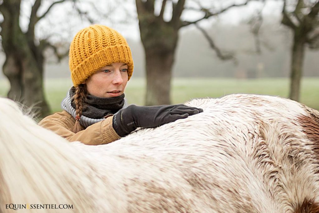 Soulager efficacement l'arthrose du cheval - Laure Souquet ostéopathe équine - Equinessentiel