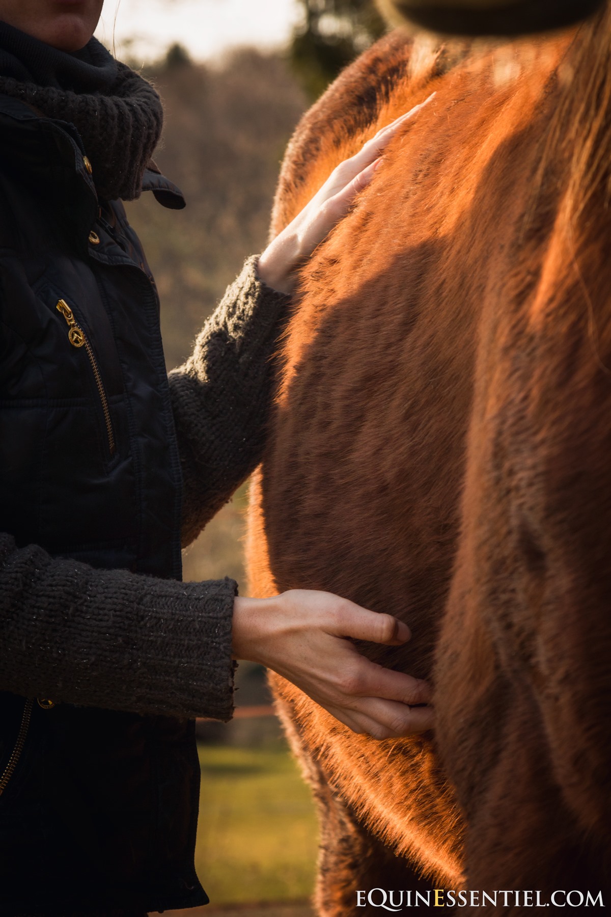 Et si votre cheval avait mal au ventre ?
