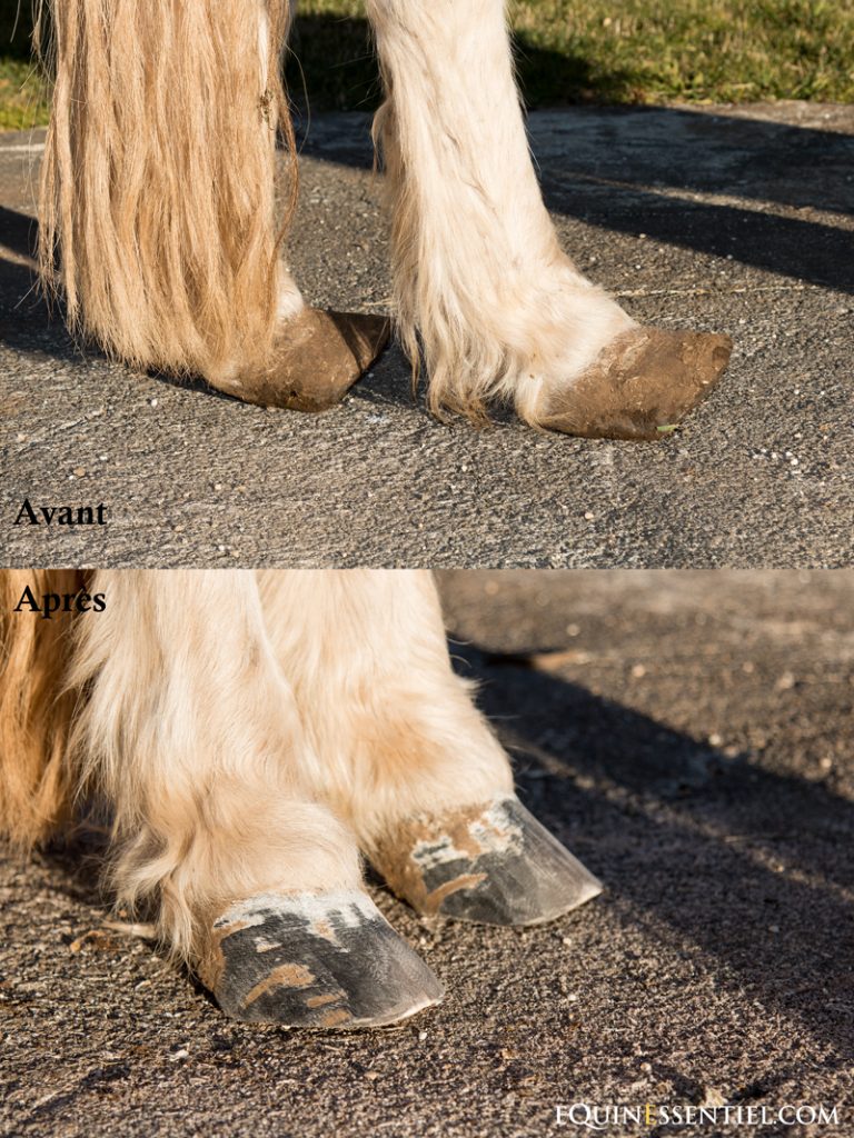 Rattraper des babouches chevaux poneys ânes parage - Laure Souquet - Equnessentiel