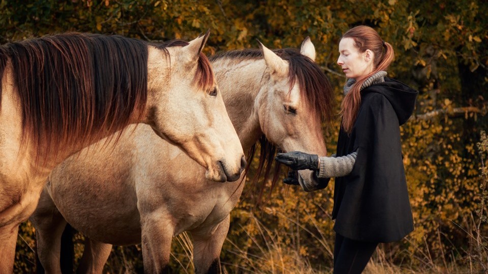 Equitation dite éthologique, pour quels cavaliers ?