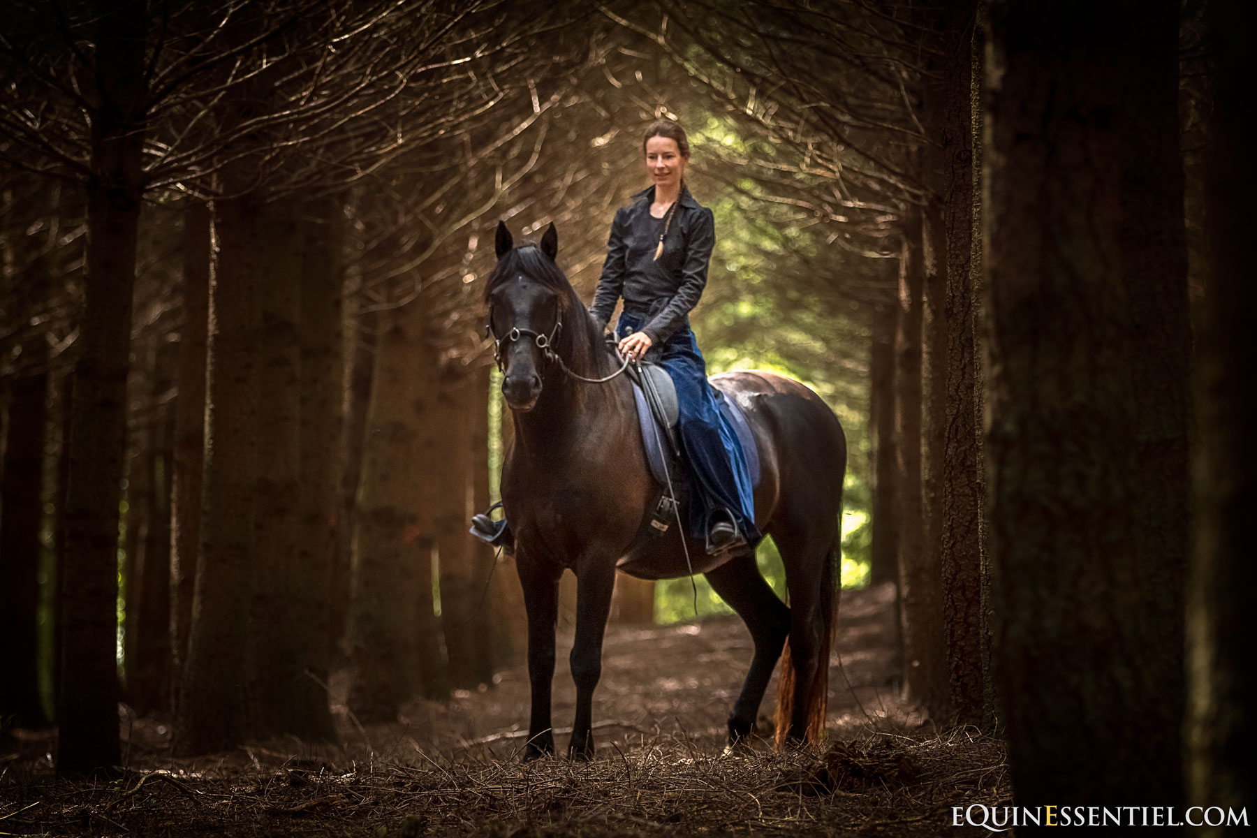 La selle idéale pour votre cheval, avec ou sans arçon ?