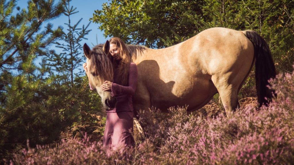 Un cheval peut-il être ami avec un être humain ?