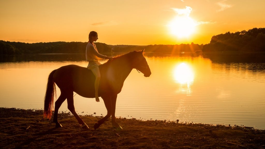 Pourquoi monter à cheval la peur au ventre ? Laure Souquet - De Femme à Cheval Formation Équestre en ligne
