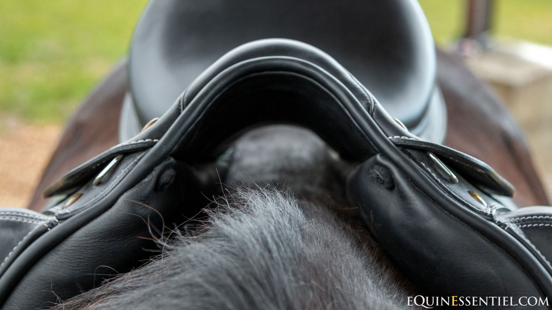 Pourquoi tout cavalier devrait savoir vérifier si sa selle est adaptée