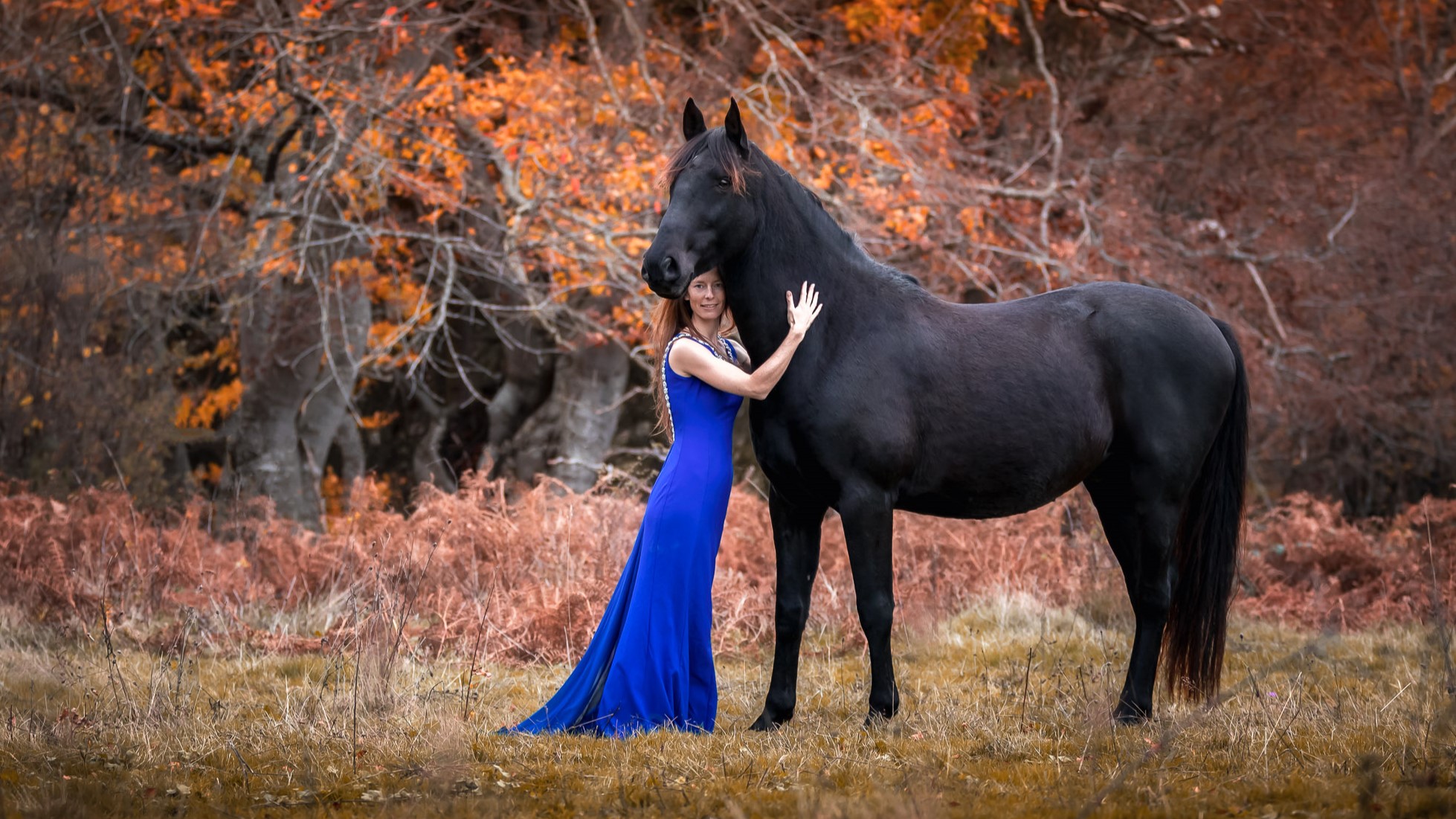 Si on les aime, doit-on monter les chevaux ? L’équitation est-elle éthique ?