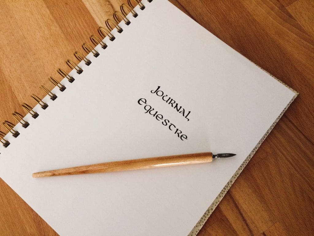 5 minutes par jour pour devenir une meilleur femme de cheval