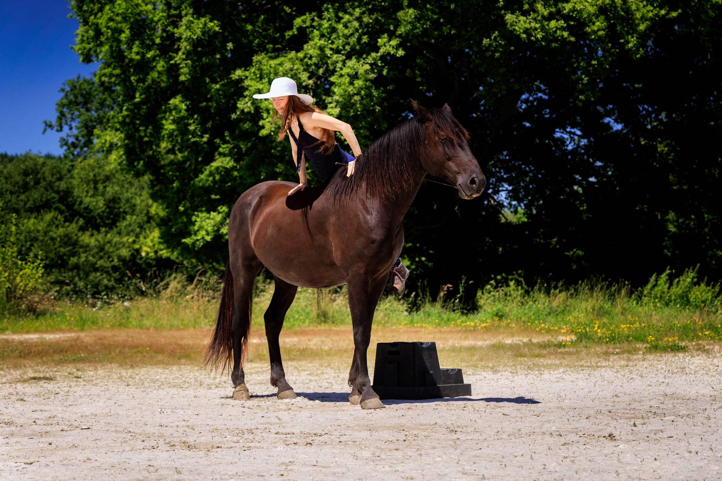 Renforcement et motivation, 2 choses à bien différencier
