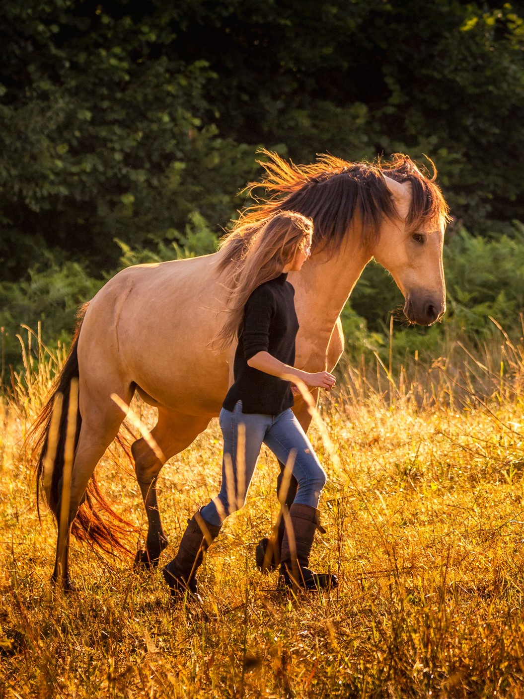 Objectif Motivation : Fais de ton cheval un partenaire volontaire - Formation équestre en ligne - De Femme à Cheval - Laure Souquet