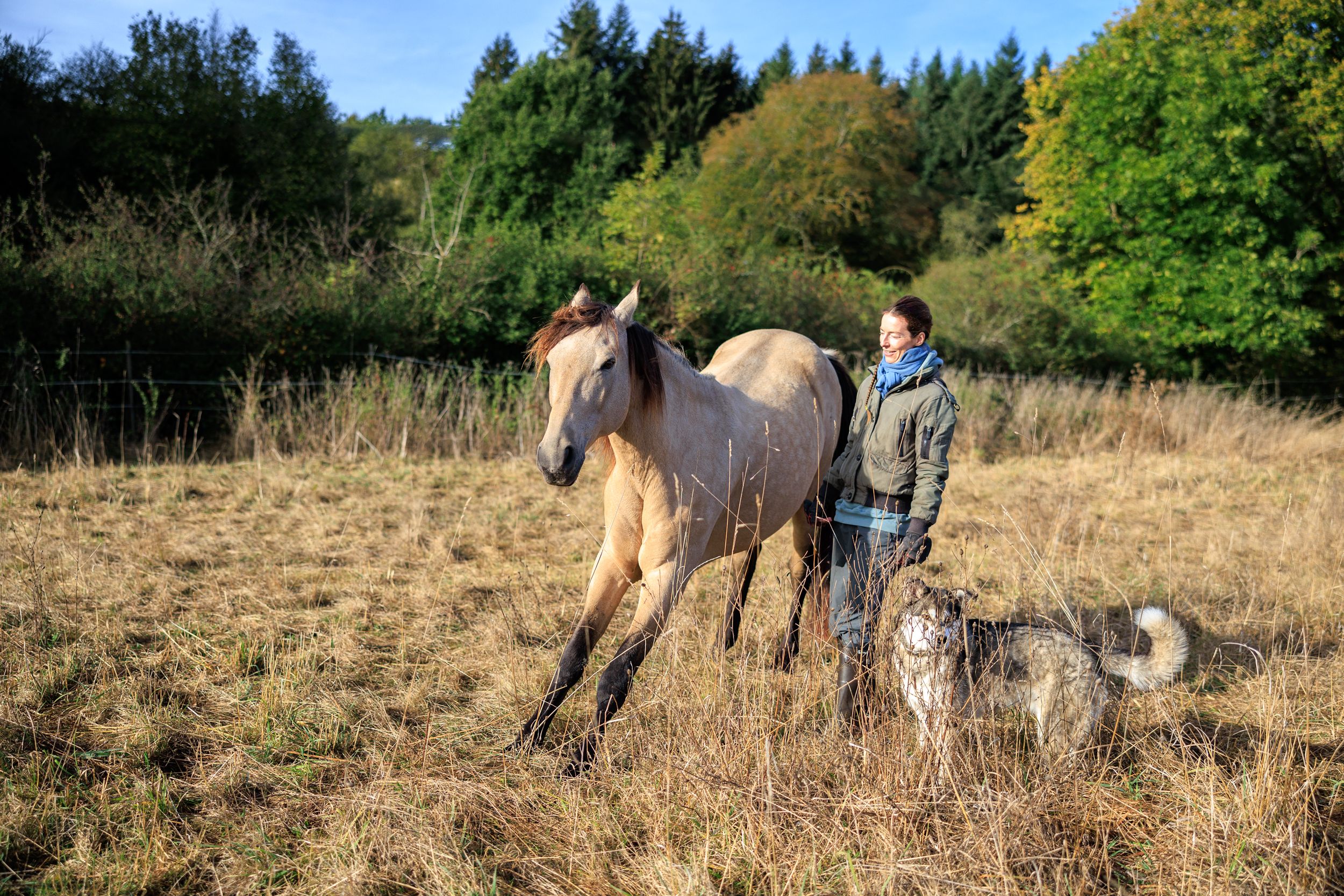 Apprendre la révérence, bénéfique ou positif pour le cheval ?