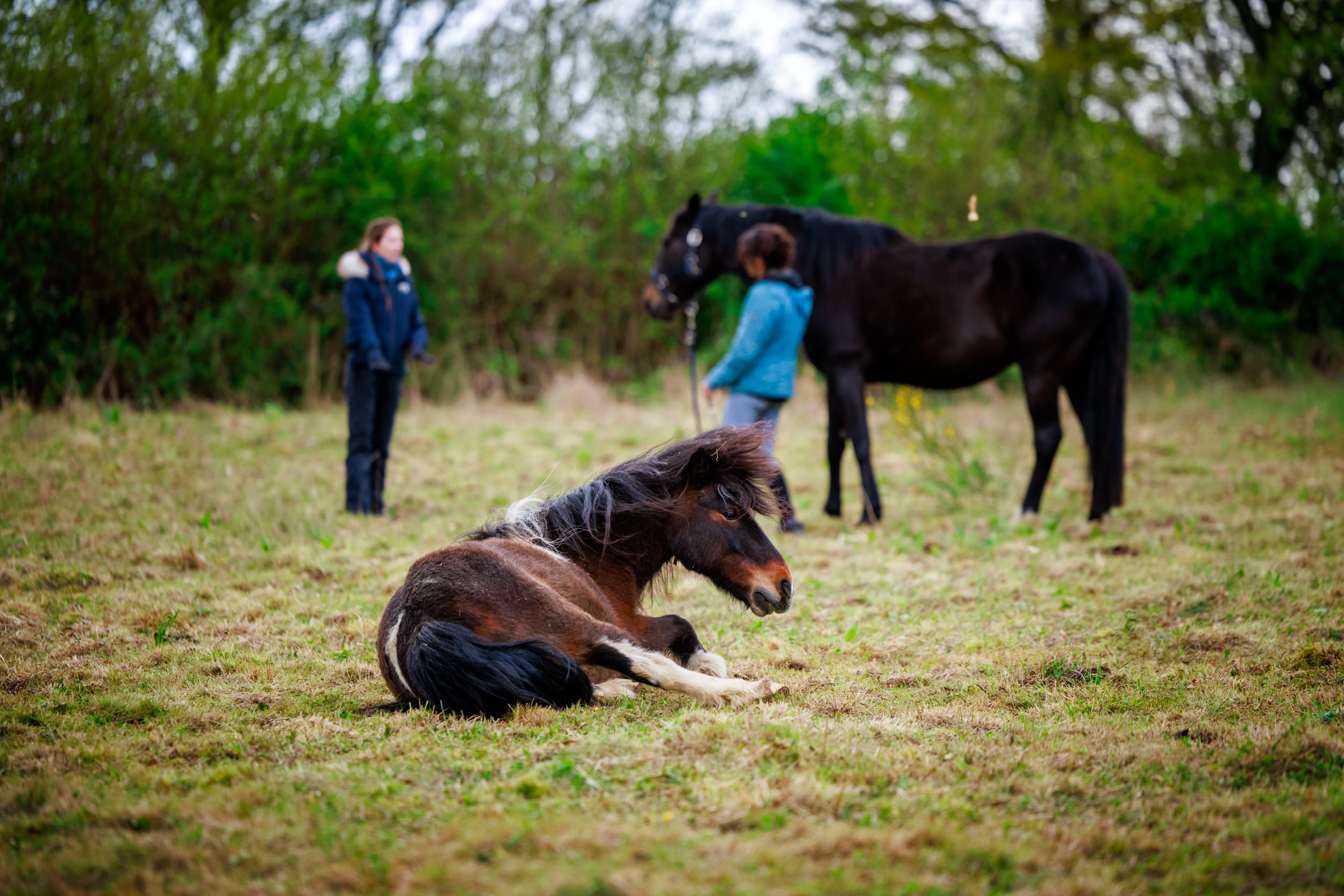 Comment choisir son enseignant d’équitation ou coach ?