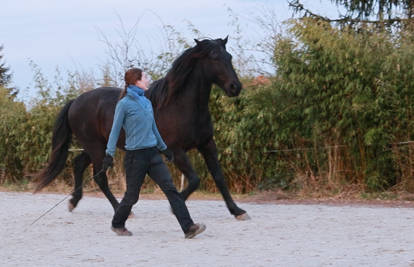 Et si tu avais tout inversé avec ton cheval ?
